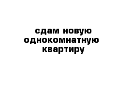 сдам новую однокомнатную  квартиру